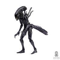 Hiya Toys Figura Articulada Xenomorph Warrior Requiem Ver. Escala 1:18 Alien Vs Predator - Limited Edition