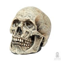 Saldos: Ghoulish Productions Human Skull By Rev - Limited Edition