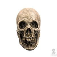 Saldos: Ghoulish Productions Human Skull By Rev - Limited Edition
