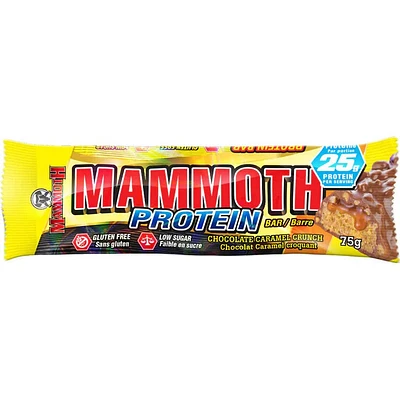 MAMMOTH BAR