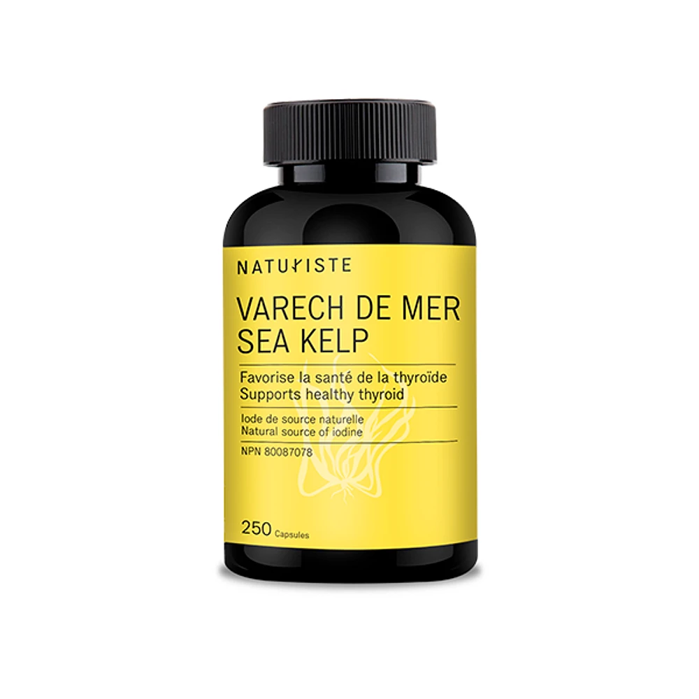 SEA KELP