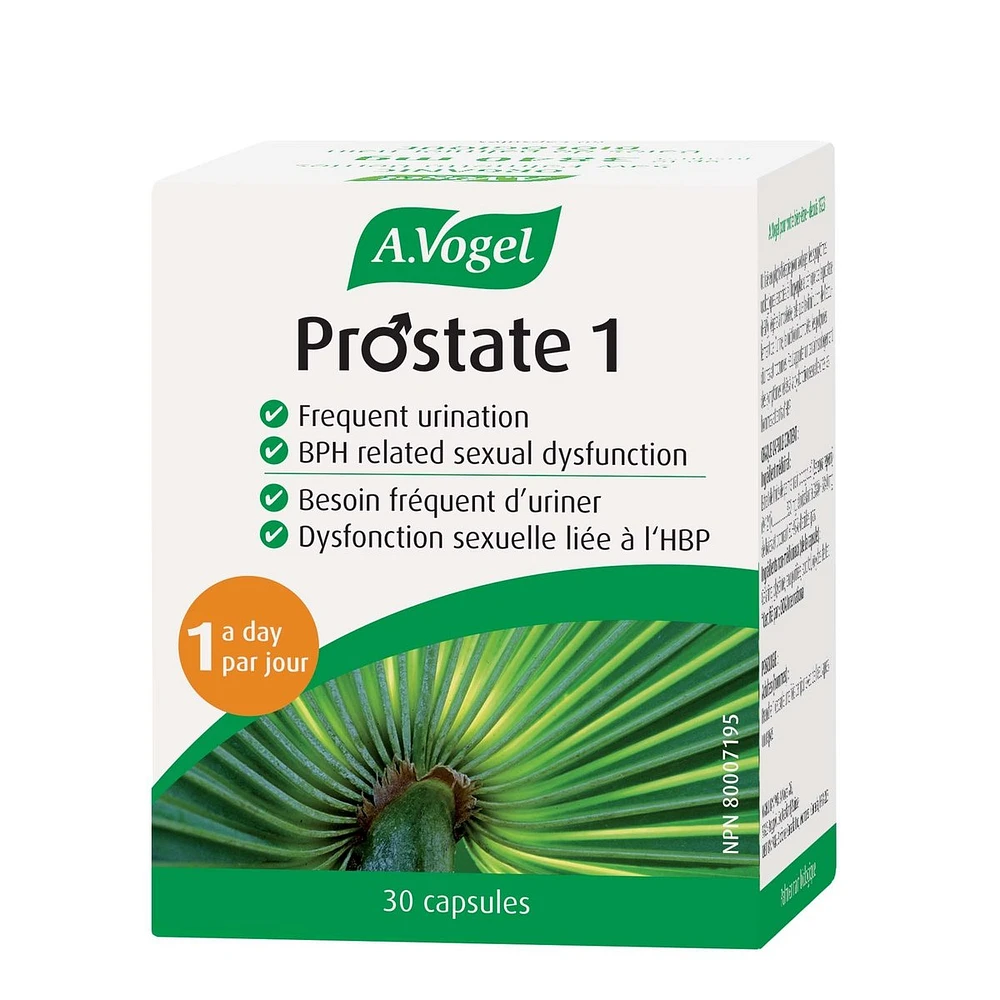 A. VOGEL PROSTATE