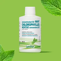 LAND ART CHLOROPHYLLE CONCENTREE 5X MENTHE