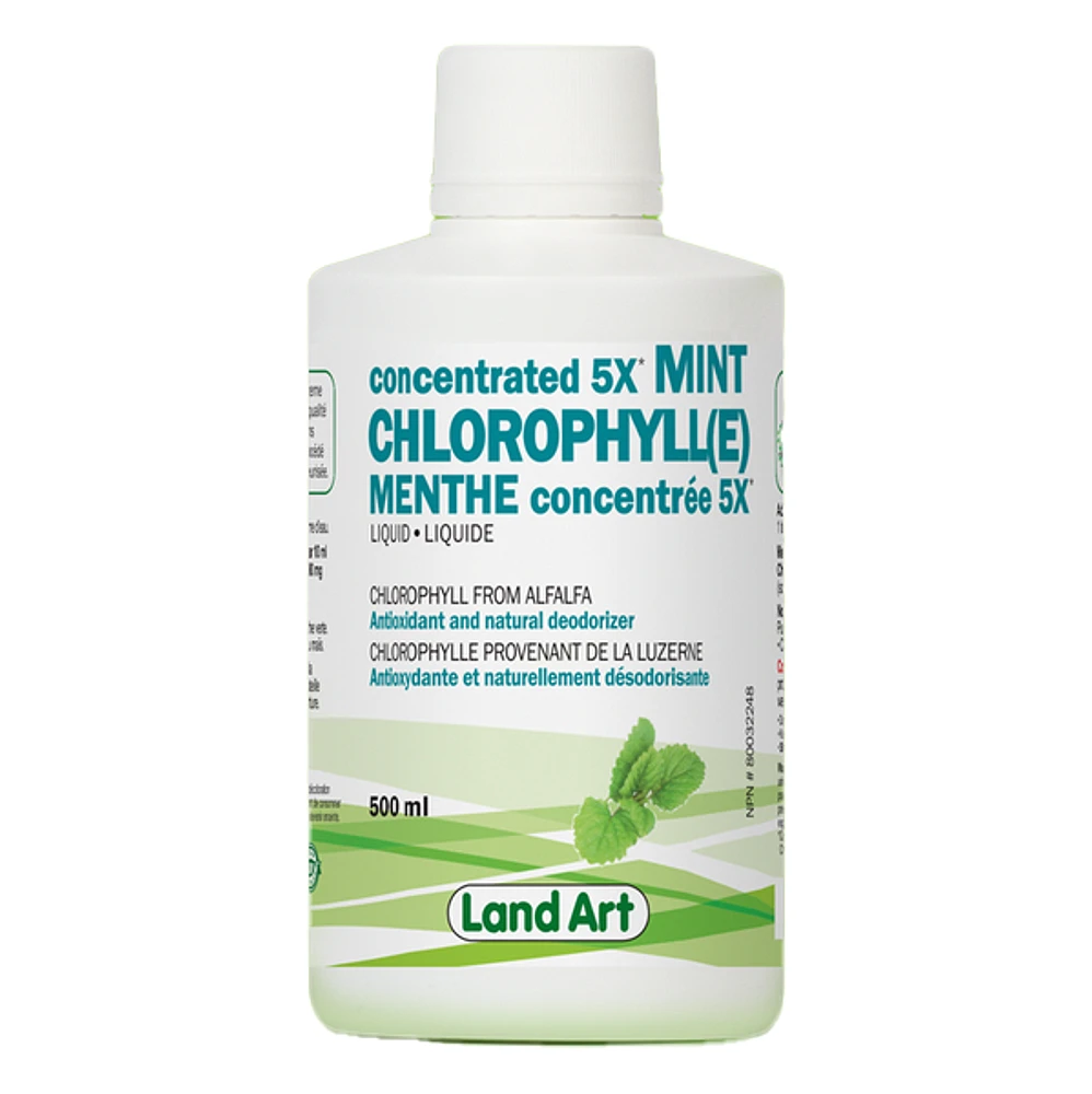 LAND ART CHLOROPHYLLE CONCENTREE 5X MENTHE