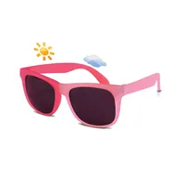 Switch Flexible Frame Sunglasses