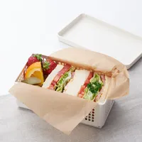 Polypropylene Sandwich Case