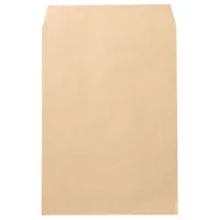 Kraft Paper Mailing Envelope