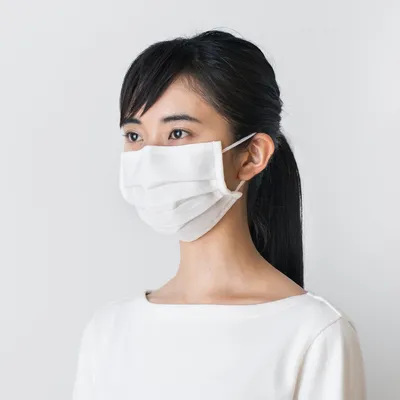 2 Pack 3 Layer Mask