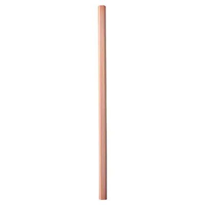 Pencil B (Set of 2)