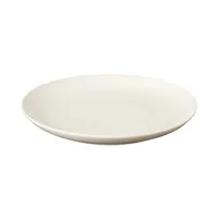 Beige Porcelain Plate