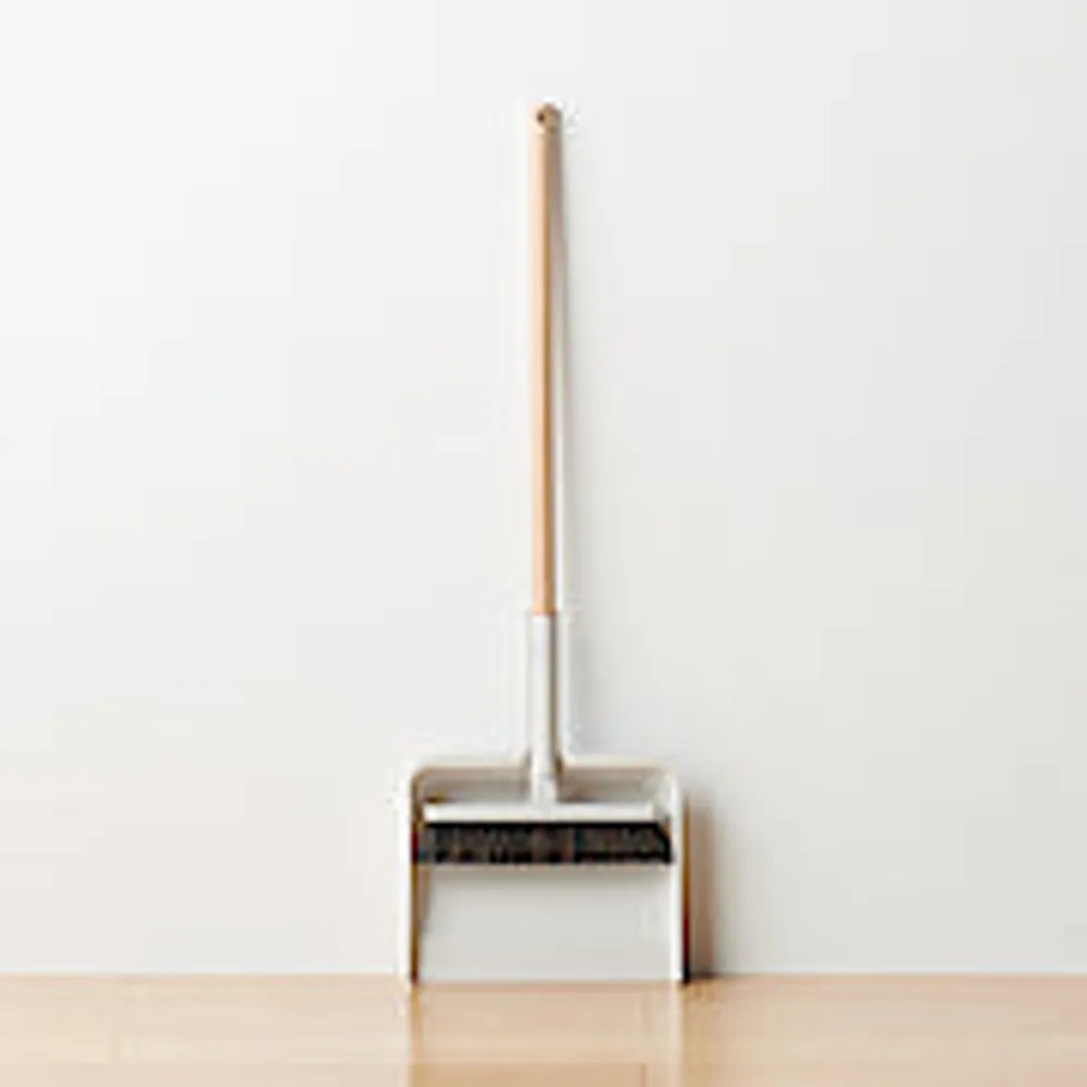 Cleaning System Dustpan