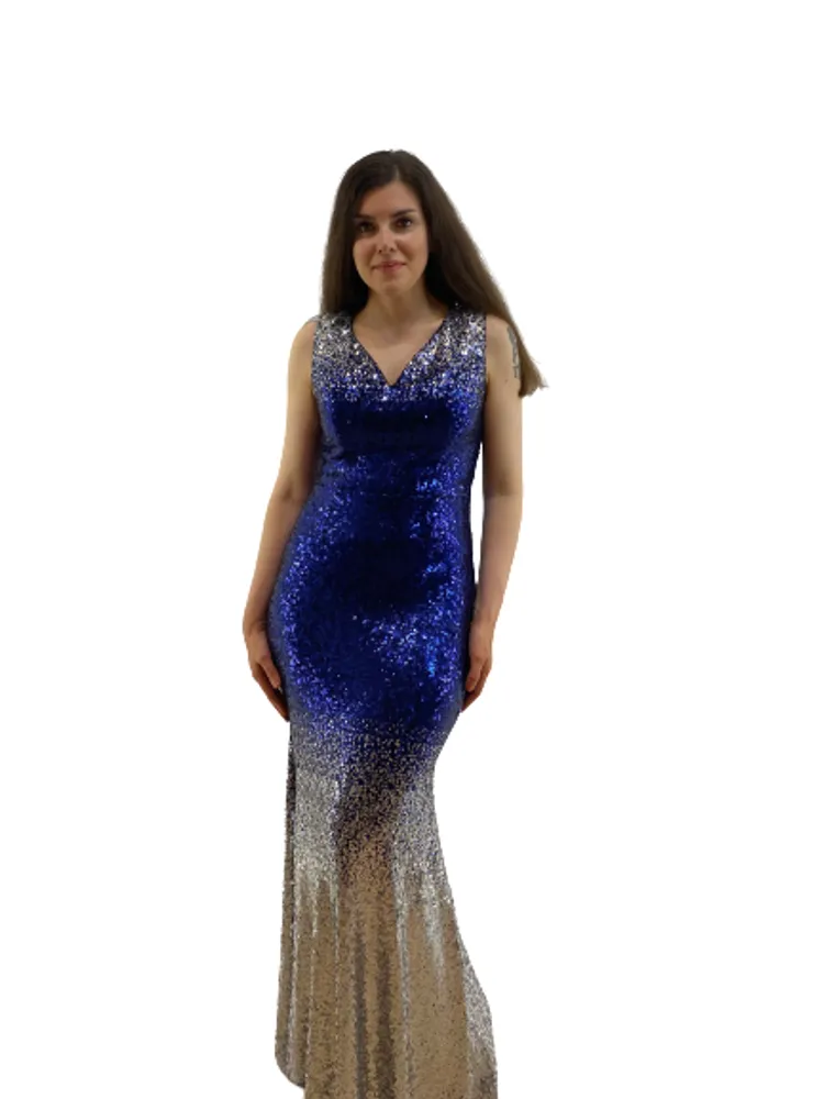 Blue/Silver Sequin Party Dress