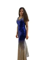 Blue/Silver Sequin Party Dress