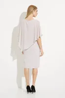 Shimmer Detail Dress with Poncho