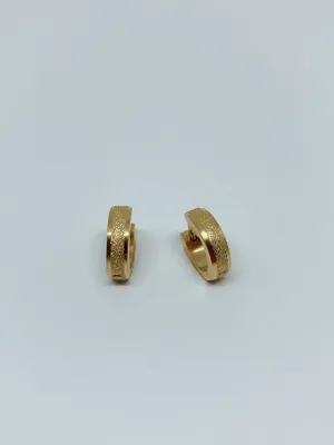 Stainless hinge earrings