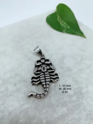 Scorpion Stainless steel pendant
