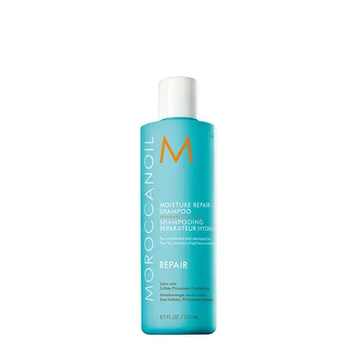 Moisture Repair Shampoo