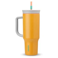 Owala® 40oz Insulated Stainless Steel BPA-Free Tumbler (Color Assorted)