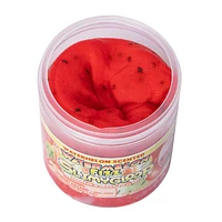 SlimyGloop Watermelon Fizz Pre-Made & Ready To Play Slime (7.4oz)