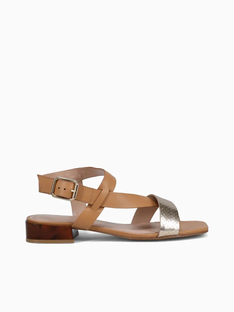 Tess Ouro  Camel cobra Toscana