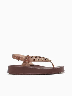 Sunshine Glitter Brown Jlastic