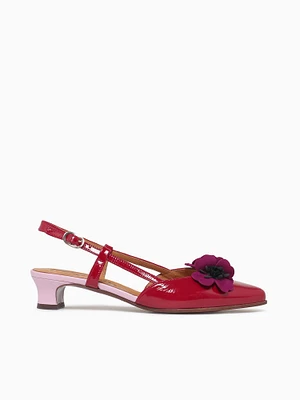 Hazel Rojo Pruna Pink sucre Ante