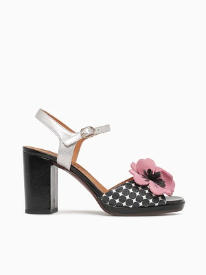 Parlota Acqua Negro Silver dali Dotman