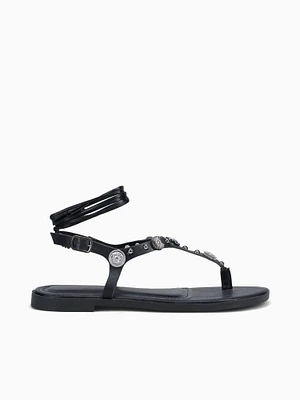 Zelina Preto Mestico