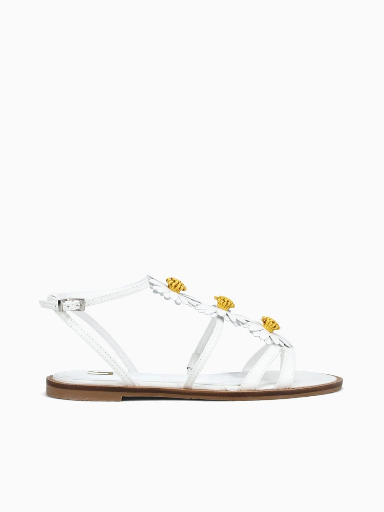 Wilder Branco Amarelo nappa