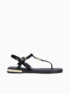 Zaya Black Jlastic