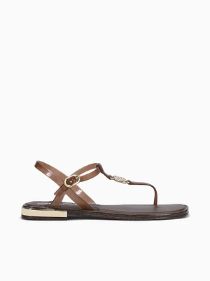 Zaya Glitter Brown Jlastic