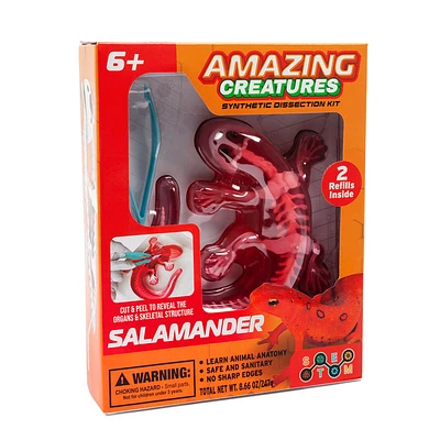 Amazing Creatures Salamander Synthetic Dissection Kit - STEM