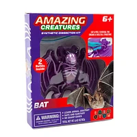 Amazing Creatures Bat Synthetic Dissection Kit - STEM