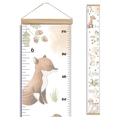 Échelles de croissance - Animaux de la forêt