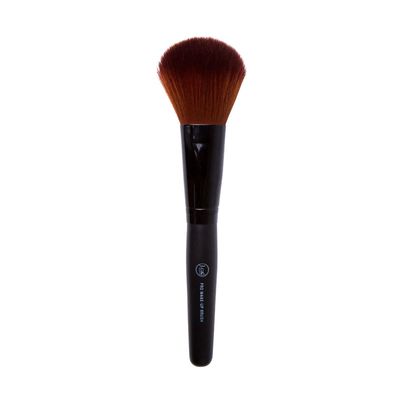 Powder brush