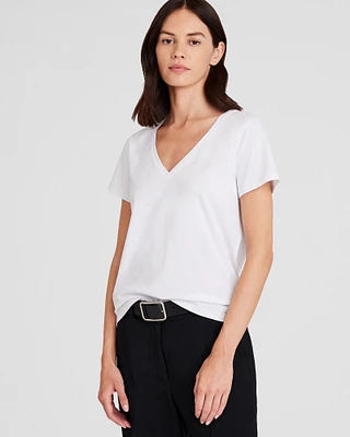 The V-Neck T-Shirt