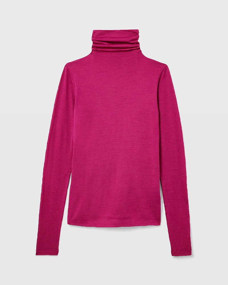 Julianna Wool Blend Turtleneck