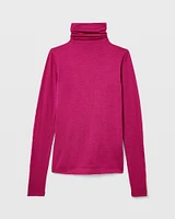 Julianna Wool Blend Turtleneck