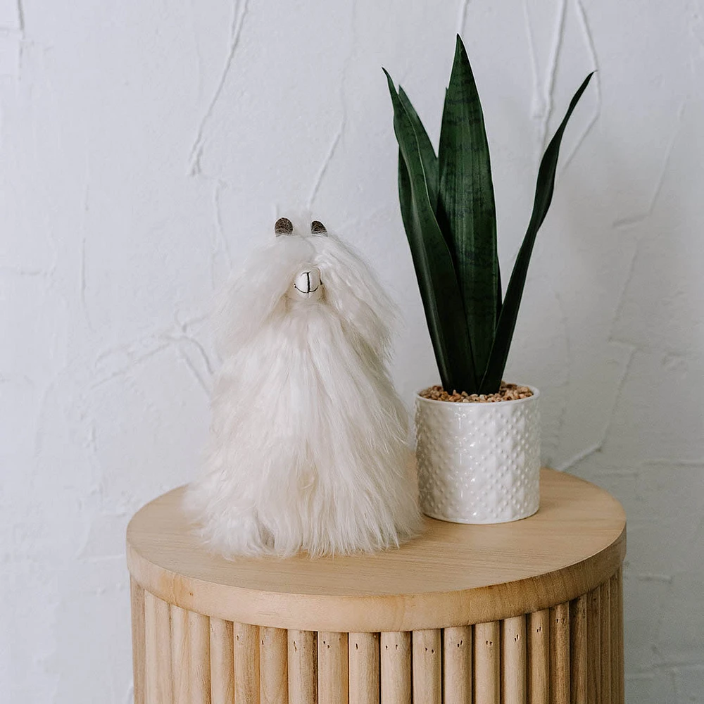 Alpaca Fur Standing Suri