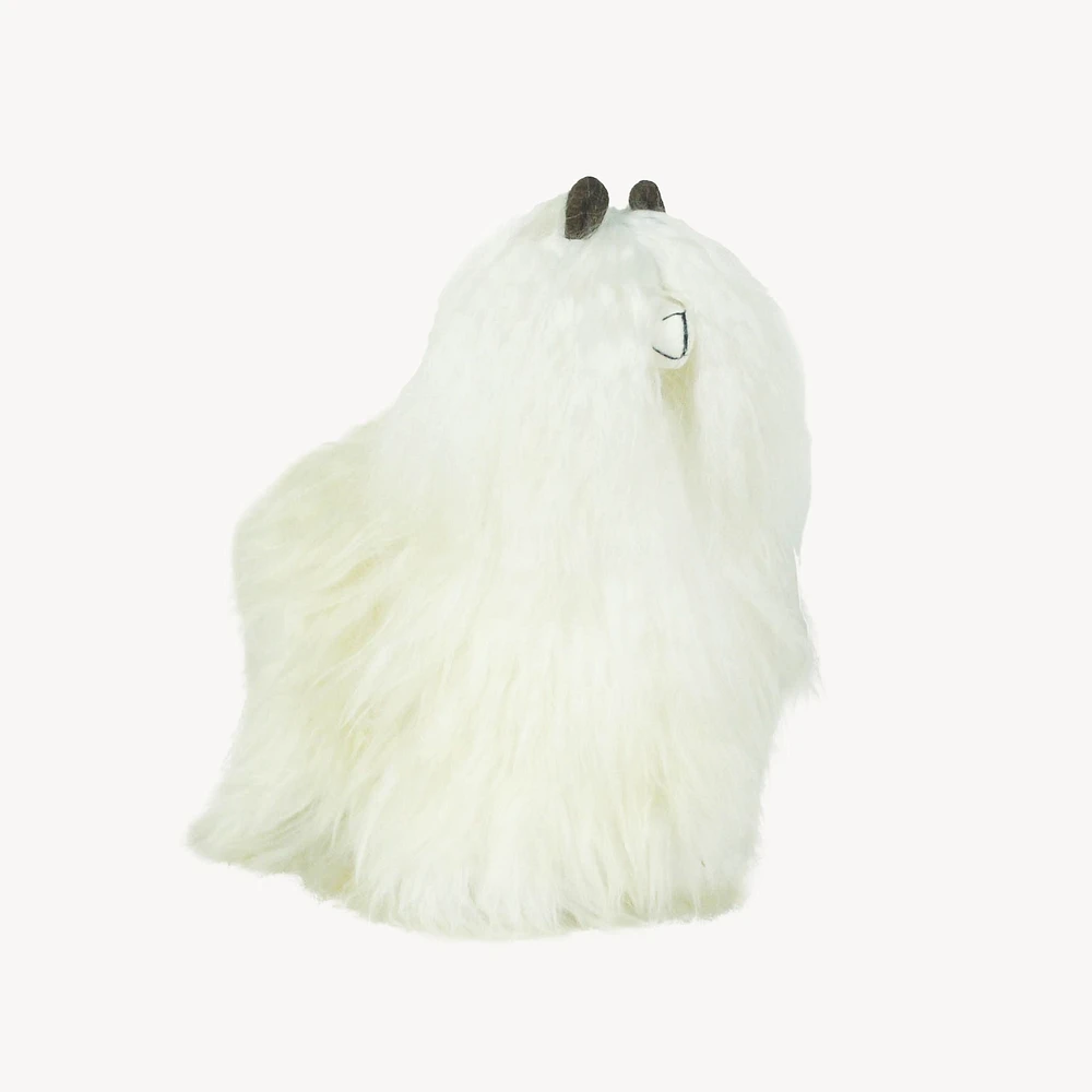 Alpaca Fur Standing Suri