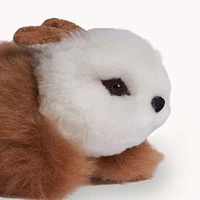 Fur Rabbit