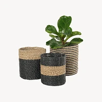 Plant Basket