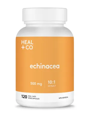 Echinacea (10:1 extract) 500mg