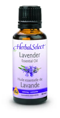 Lavender Oil, 100% pure