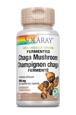 Fermented Chaga Mushroom