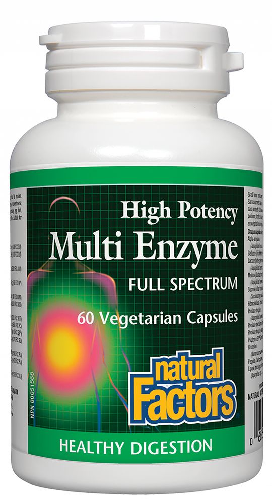 Natural Factors Multi Enzyme High Potency Full Spectrum Vegetarian