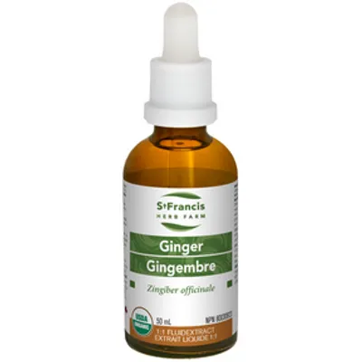Ginger w 1:1 Fluid Extract