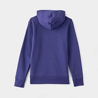 Jordan Junior Boys' MJ Flight MVP Pullover Hoodie / Sky Purple