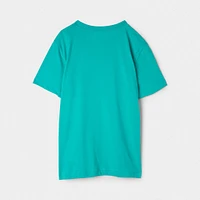 Jordan Junior Boys' Jumpman Air Embroidered T-Shirt / Washed Teal