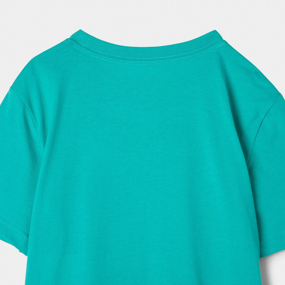 Jordan Junior Boys' Jumpman Air Embroidered T-Shirt / Washed Teal